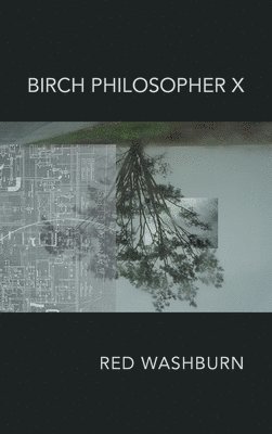 Birch Philosopher X 1