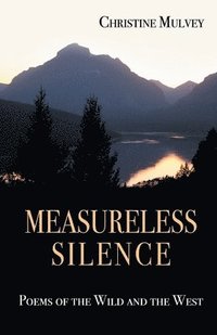 bokomslag Measureless Silence