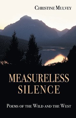 Measureless Silence 1