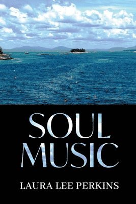 bokomslag Soul Music