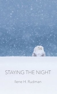 bokomslag Staying The Night