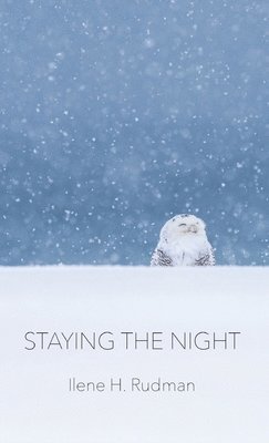 Staying The Night 1