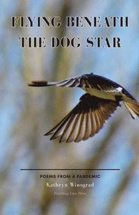 bokomslag Flying Beneath the Dog Star