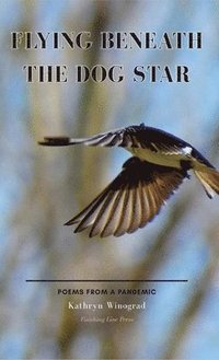 bokomslag Flying Beneath the Dog Star