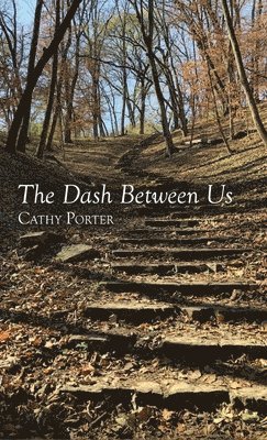 The Dash Between Us 1