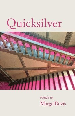 bokomslag Quicksilver