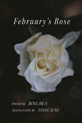 February's Rose 1