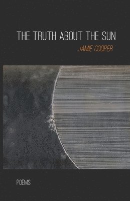 bokomslag The Truth About the Sun