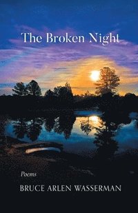 bokomslag The Broken Night