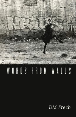 bokomslag Words from Walls