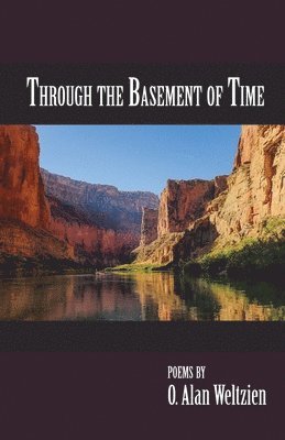 bokomslag Through the Basement of Time