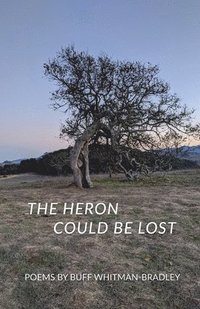bokomslag The Heron Could be Lost