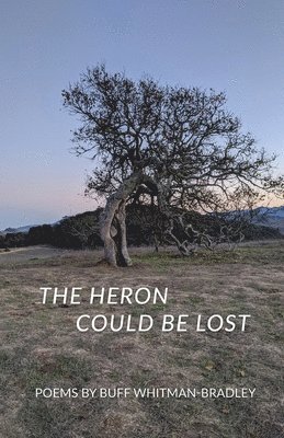 bokomslag Heron Could be Lost