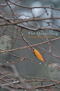 bokomslag The Quenching
