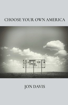 Jon Davis - Choose Your Own America, Häftad