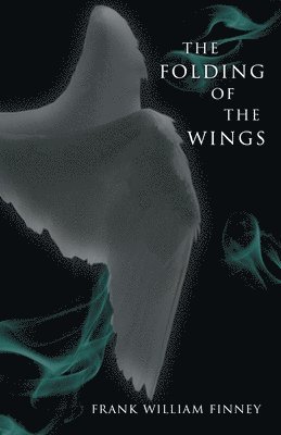 The Folding of the Wings 1