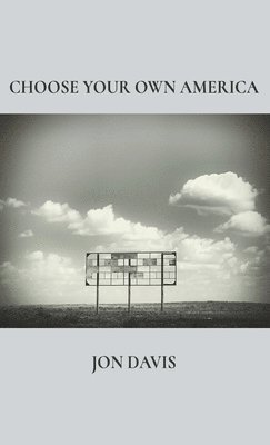 Jon Davis - Choose Your Own America, Inbunden