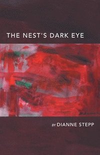 bokomslag Nest's Dark Eye