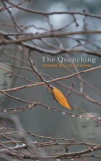 bokomslag The Quenching