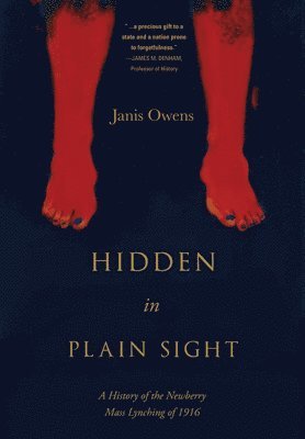 Hidden in Plain Sight 1