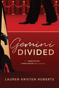bokomslag Gemini Divided