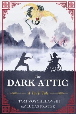 bokomslag The Dark Attic