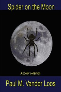 bokomslag Spider on the Moon