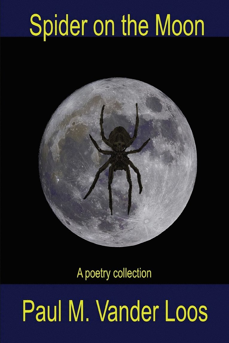 Spider on the Moon 1