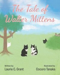 bokomslag The Tale of Walter Mittens
