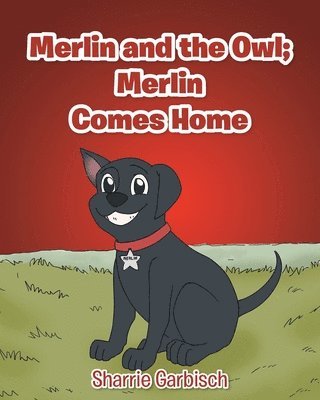 Merlin and the Owl 1