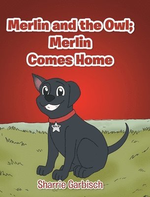 Merlin and the Owl 1