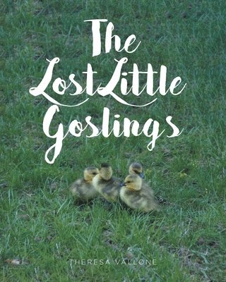 bokomslag Lost Little Goslings
