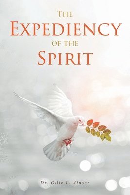 bokomslag The Expediency of the Spirit