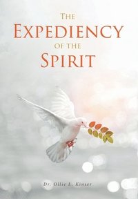 bokomslag The Expediency of the Spirit