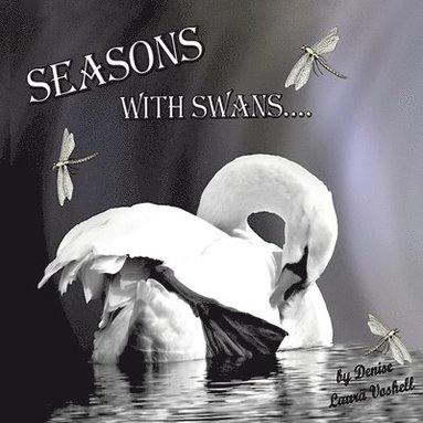 bokomslag Seasons with Swans