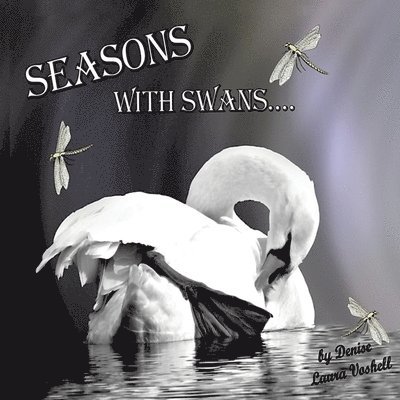 Seasons with Swans 1