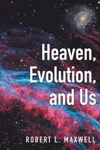 bokomslag Heaven, Evolution, and Us