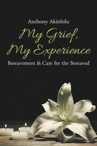 bokomslag My Grief, My Experience