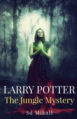 bokomslag Larry Potter