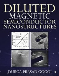 bokomslag Diluted Magnetic Semiconductor Nanostructures