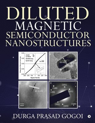 Diluted Magnetic Semiconductor Nanostructures 1