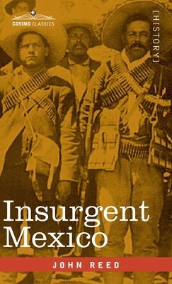 bokomslag Insurgent Mexico