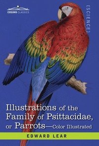 bokomslag Illustrations of the Family of Psittacidae