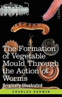 bokomslag The Formation of Vegetable Mould Through the Action of Worms