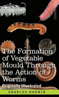 bokomslag The Formation of Vegetable Mould Through the Action of Worms