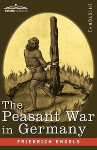 bokomslag The Peasant War in Germany