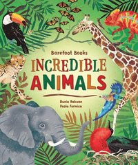 bokomslag Barefoot Books Incredible Animals