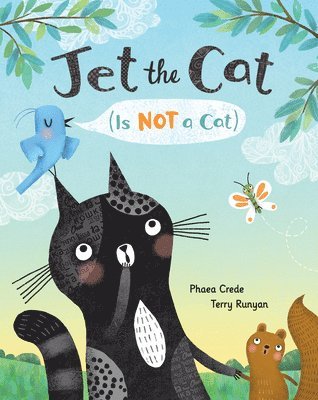 Jet the Cat (Is Not a Cat) 1