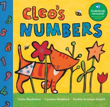 Stella Blackstone - Cleo's Numbers, Kartonnage