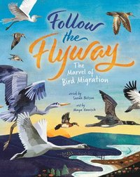 bokomslag Follow the Flyway: The Marvel of Bird Migration
